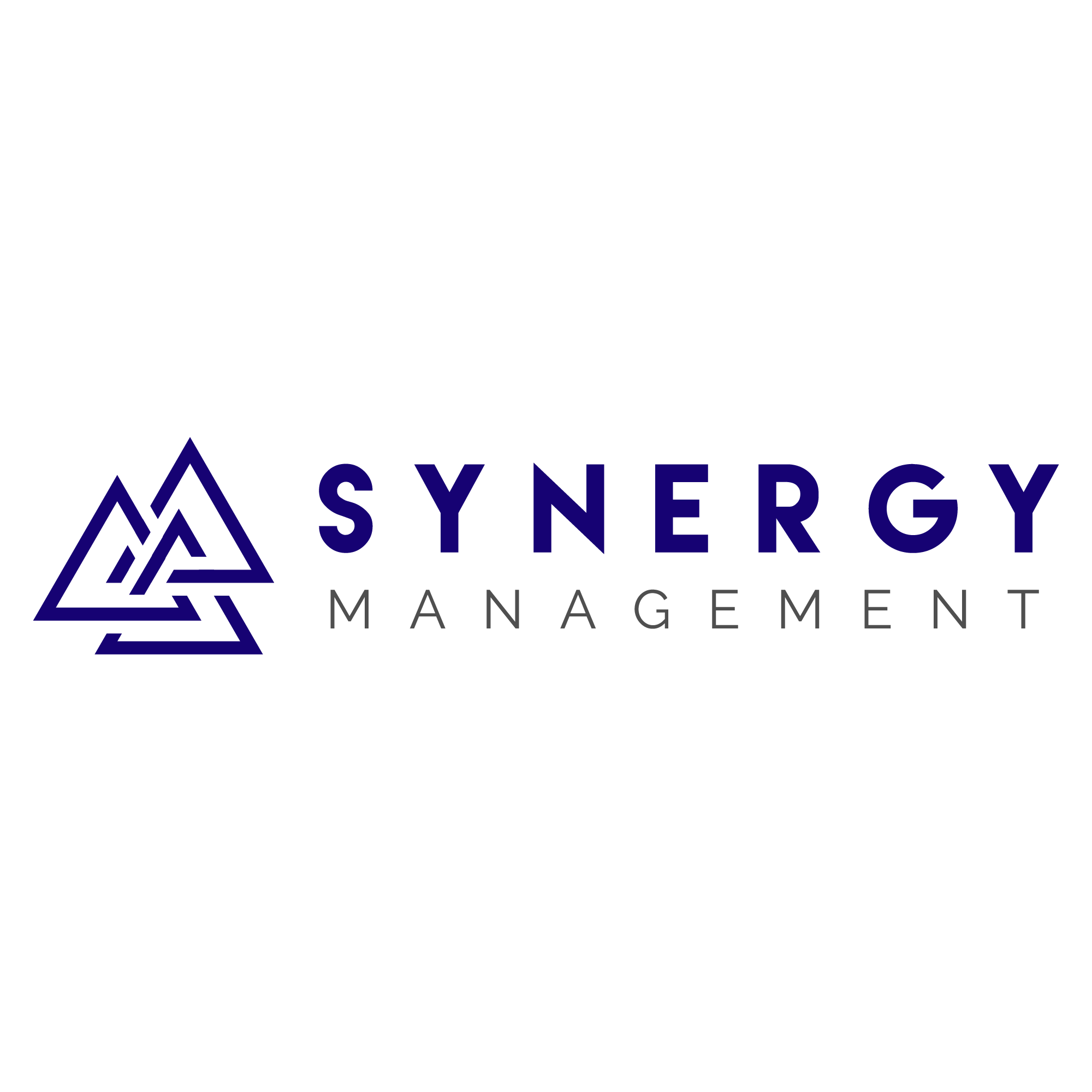 synergymgtgroup Profile Picture