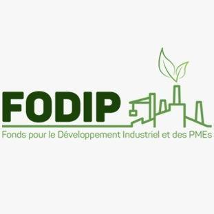 fodipgn's profile picture. Organisme gouvernemental, le @FODIP a pour mission de mobiliser et d'utiliser les ressources provenant de diverses origines, pour le développement industriel...