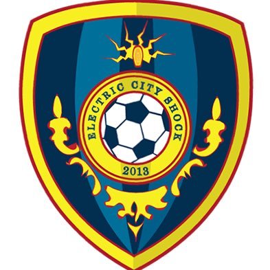 Official Brand New Twitter page of Electric City Shock Playing in the  NPSL Keystone Conference ⚡️