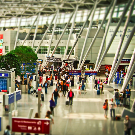 BalearEscola's profile picture. 