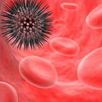 Leukemia, when diagnosed at the early stages, can be treated by what is known as Cord Blood stem cell treatment.