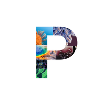 Piel Lab (@piel_lab) 's Twitter Profile Photo Piel Lab (@piel_lab) 's Twitter Profile Photo
