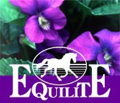 Creator of the Sore No More, Equilite and Botanical Animal Essence Line, herbalist, horse person & animal lover and Co-Publisher of the Holistic Horse Magazine