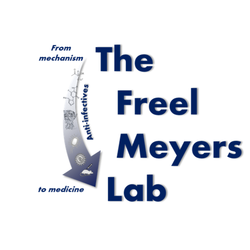 In their natural habitat, Freel Meyers lab members can be found synthesizing and testing new anti-infectives or investigating cool enzymes!