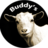 buddyscannabis's profile image