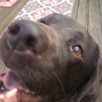 loco coco (@loco_coco420) 's Twitter Profile
