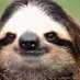 gigolosloth (@gigolosloth) Twitter profile photo gigolosloth (@gigolosloth) Twitter profile photo