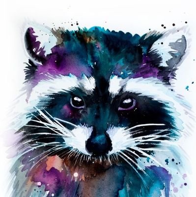 Rakkunbet's profile picture. 