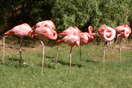 AzRepugnant's profile picture. 