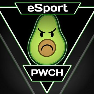 Equipo Semi-Profesional de eSport Abierto a cualquier negociación u oferta.