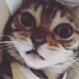 Rei15741929's profile picture. ずっと一人でジェジュンを応援してきましたが、日本活動再開により ジェジュンファンの皆様と一緒にジェジュンを応援していきたいと思います。RT、フォローオッケー👌です🙆‍♀️