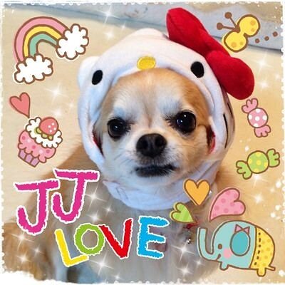 𝔍𝔍🍀まゆころん핑( ↀᴥↀ )ฅ🐾재중베이비스さんのプロフィール画像