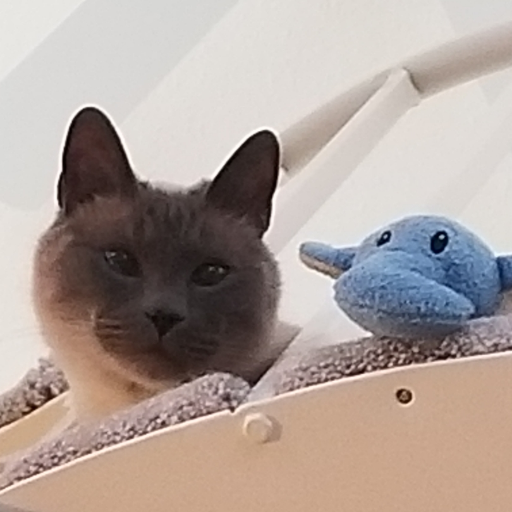 Nnn2u's profile picture. 