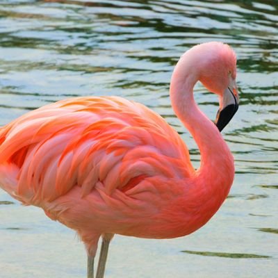 りま 佐々木さんがヴィランズの手下の初代アップルポイズンに似てる気がしてならない Oo ディズニーハロウィン アップルポイズン ウーマンオブザイヤー