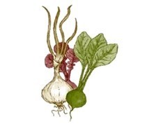 CIWGarden's profile picture. An organic garden for women in prison at California Institution for Women(CIW).