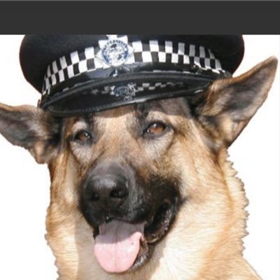 30 yrs Met, 24 as a Dog Handler. Volunteer + Essex Police. Ambassador + @dotslondon 🧡 Proud Mum of @PBaloo & #RPDRex #wellbeingdogs 🐝💙 @OscarKiloNine #bekind