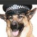 Chappers ๐พ๐ ๐โโ๏ธ (@chappers2013) Twitter profile photo Chappers ๐พ๐ ๐โโ๏ธ (@chappers2013) Twitter profile photo