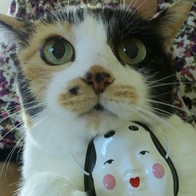 でぶねこ様への出品となります でぶねこ❤️ (@gkL7s2QfCIC4KtC) / X
