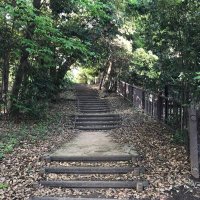 ほのⓥ (@kxeqb5ganjglgwb) 's Twitter Profile