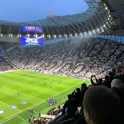 TravelandCOYS Profile Picture