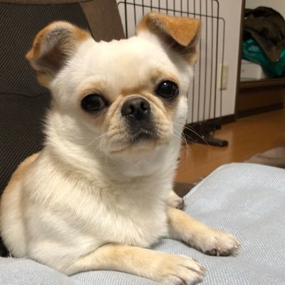 きょう ツイートされてるの見るだけでもおもろいと思う Toshiが聖子ちゃん歌うとは思わんかった あと 瀬川瑛子とダイヤモンドユカイがマルモリ ダンスしてたのわろた