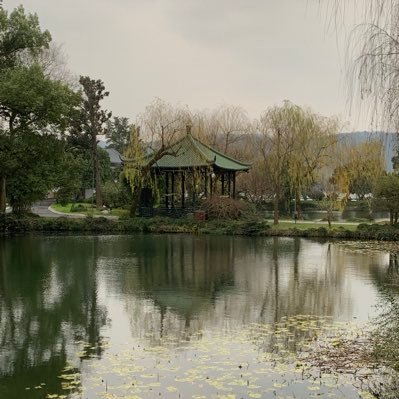 teng_yu's profile picture. 