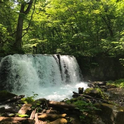 十和田 市 天気