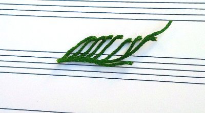 Learning music through trees + forests through music