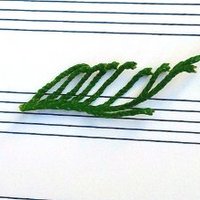 Little Woodland Heights (@little_woodland) 's Twitter Profile Photo Little Woodland Heights (@little_woodland) 's Twitter Profile Photo