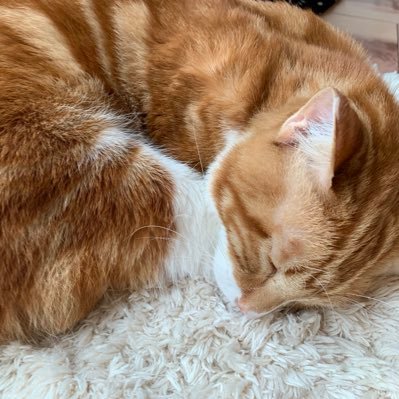 ____Kanlan's profile picture. 🗣💬