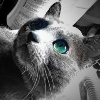 Imamura (@ima_n_design) 's Twitter Profile