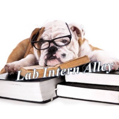 Interns & Postdocs Across Research Institutions — Feel free to tag us with suggestions              #HoyaSaxa