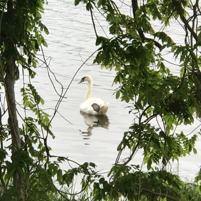 ChangePoetry's profile picture. Writer, that’s following her dream with “ Poetry For Change “ a project for the youth to safely express themselves.