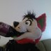 Snowberry the husky (@13thedreammist1) Twitter profile photo Snowberry the husky (@13thedreammist1) Twitter profile photo