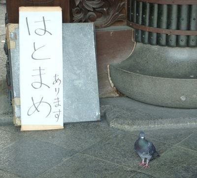 競馬をこよなく愛すハゲたオッサン。
好きな馬はトウカイテイオー。
いつのまにやらLv51 使える呪文はアバカムのみ。得意技はBダッシュ。