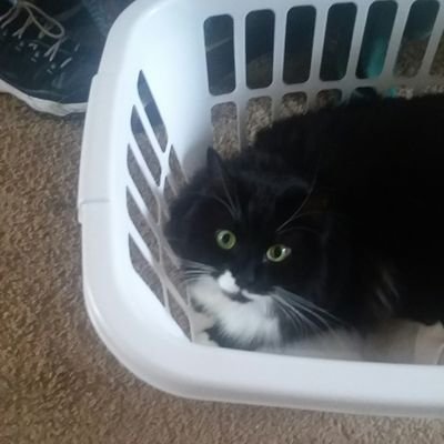 Elizabe83536469's profile picture. 