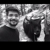 Süññÿ Râthôrë... (@ul3zx) 's Twitter Profile Photo Süññÿ Râthôrë... (@ul3zx) 's Twitter Profile Photo
