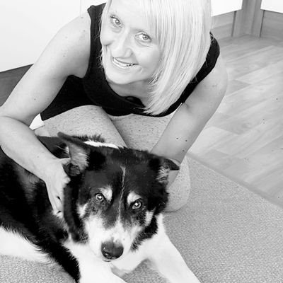 forever in my heart my beautiful boy reg 🐶🐾❤. loves trump so no snowflakes 🇬🇧🇬🇧🇬🇧