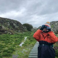 Fiona B (@fionab295) 's Twitter Profile Photo