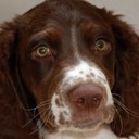 Bob Shoemaker - @save_the_ales - Twitter