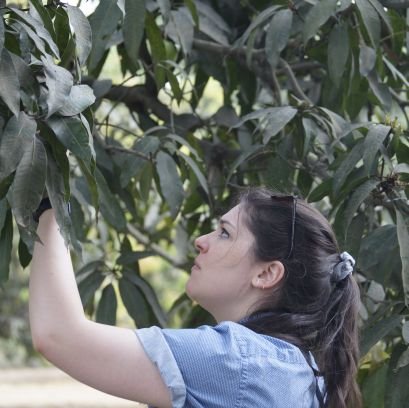 Entomologist. Biocontrol of insects by insects. Stink bug egg parasitoids & UV radiation. she/her/elle