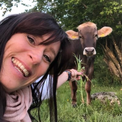 EviMuethi's profile picture. 