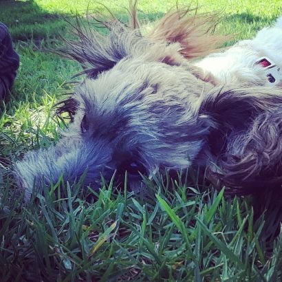 Pineapp37695045's profile picture. just here to see
not here to post pie 🥧🥧