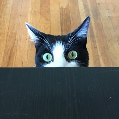 alexrpo's profile picture. Carbon unit