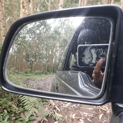 silfonio's profile picture. Psicogenealogista...