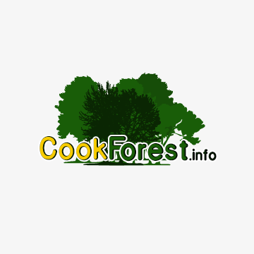 Your one-stop guide to all things Cook Forest State Park, spanning the counties of Clarion, Forest, and Jefferson in the Commonwealth of Pennsylvania (USA).