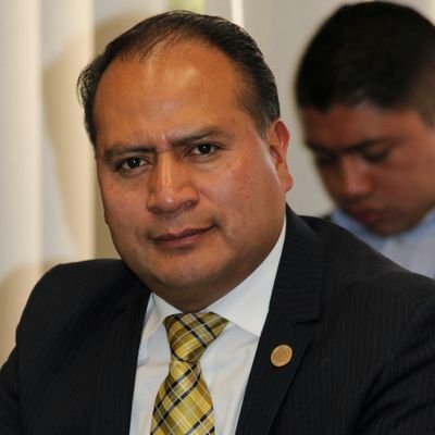 Diputado Federal en la LXIII Legislatura por la 5a circunscripción del Estado de México.