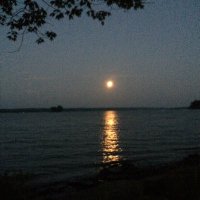 Sharon - IBelieve🙏✝️🇺🇸 (@2makeitright) 's Twitter Profile
