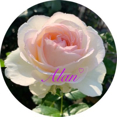 Alan_Love_sweet's profile picture. 阿部顕嵐くん♡/ 7ORDER 箱推し♡/結構な大人です/♡Love-tune→7ORDER🌈 7ORDER project🌈/ 💜Alan Abe : https://t.co/9LausAAaX6 / 🌈7ORDER : https://t.co/Xlaf7M3UwA