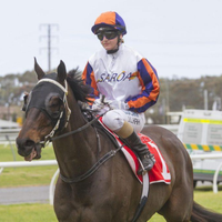 SA Racehorse Owners (SAROA) (@s_saroa) 's Twitter Profile
